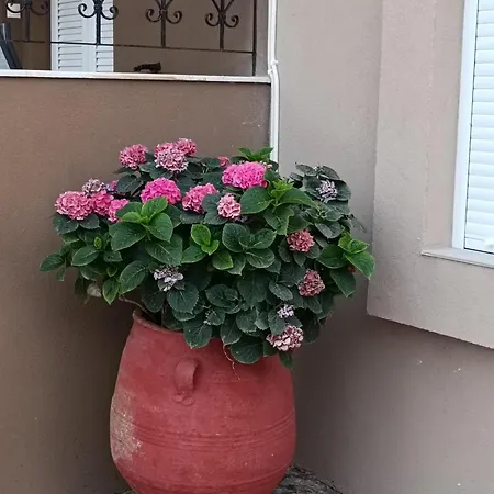 Vrachakia Elegant * Agia (Chania, Crete)